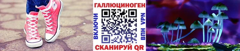 Псилоцибиновые грибы мицелий  Чебоксары 