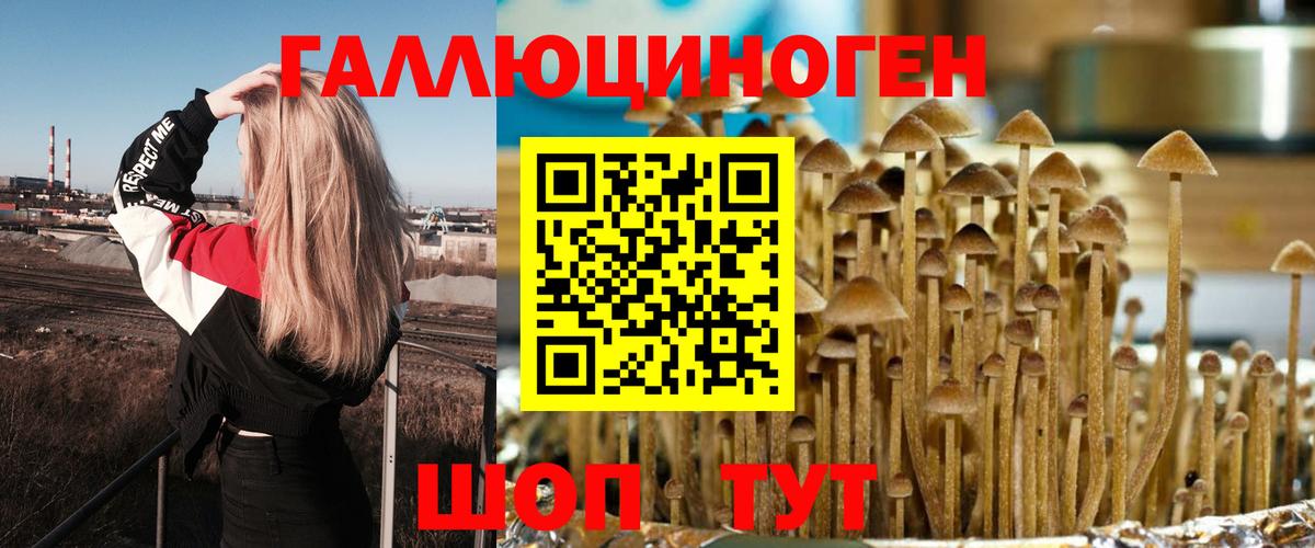 Псилоцибиновые грибы прущие грибы  Псилоцибиновые грибы Cubensis  Чебоксары  Вход с VPN 